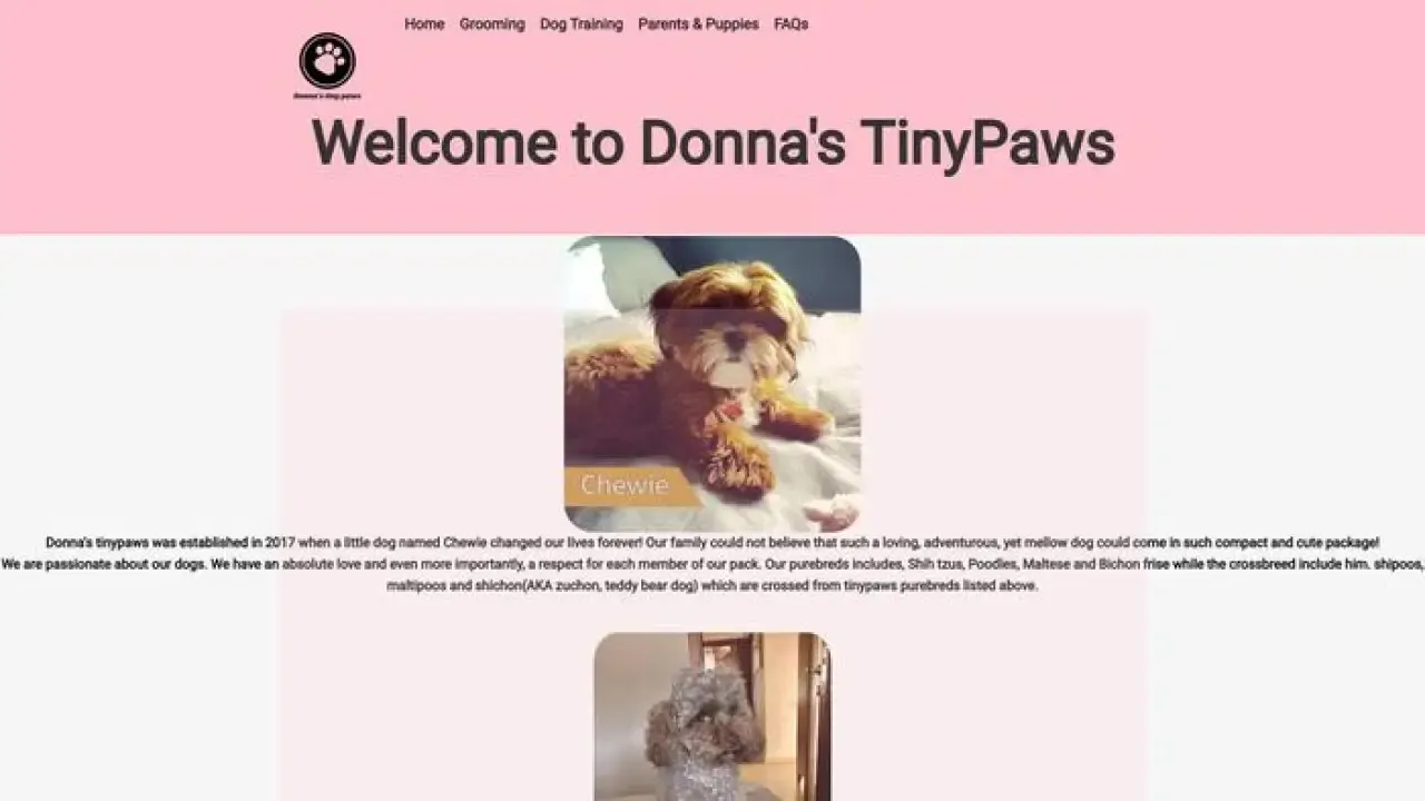 Screenshot of||