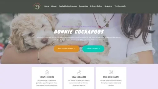 Screenshot of