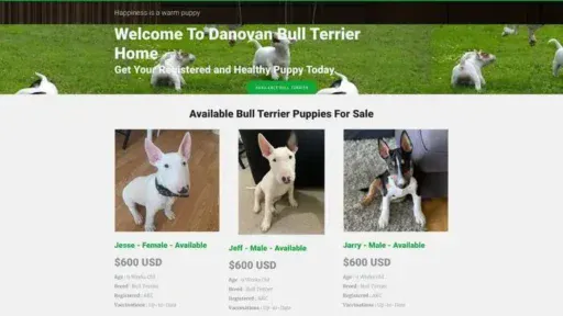 Screenshot of