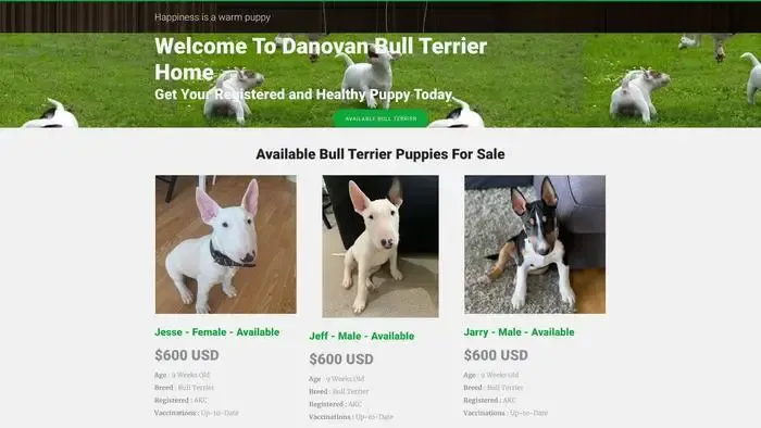 Screenshot of