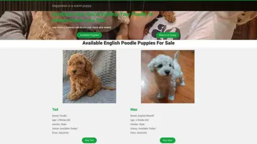 Screenshot of