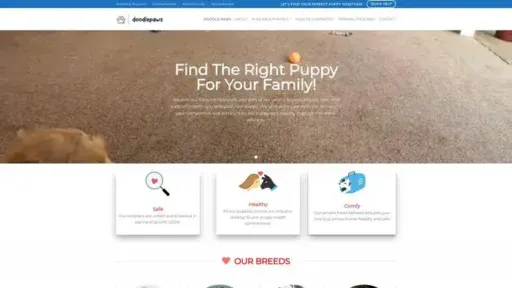 Screenshot of