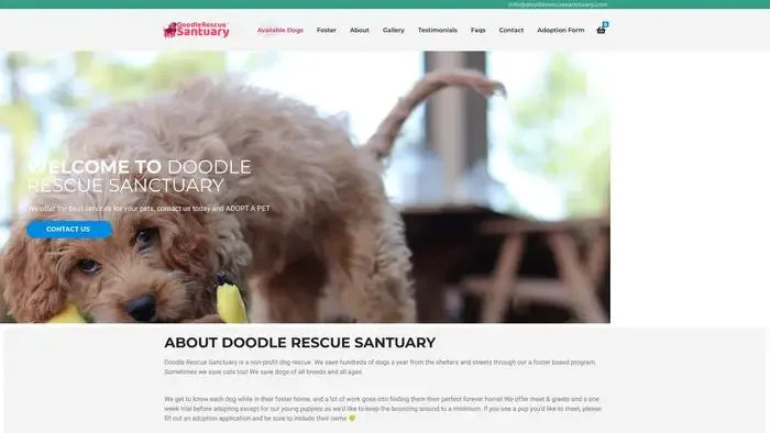 Screenshot of