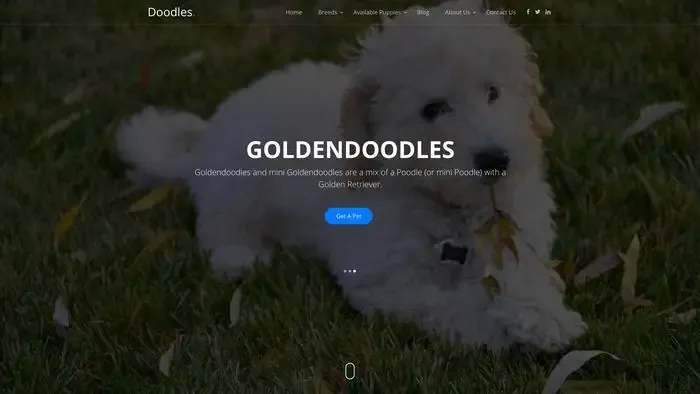 Screenshot of
