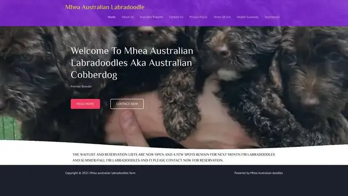 Screenshot of