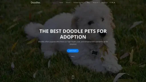 Screenshot of