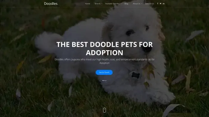 Screenshot of