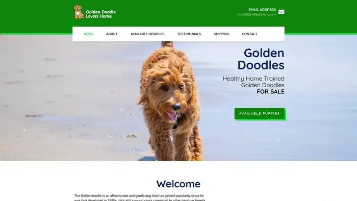 Screenshot of