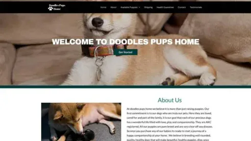 Screenshot of