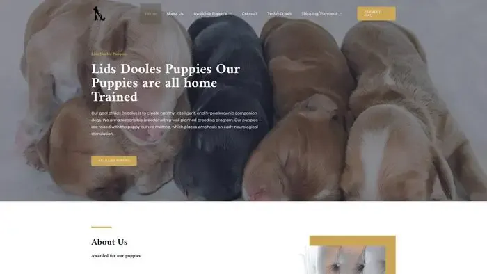 Screenshot of