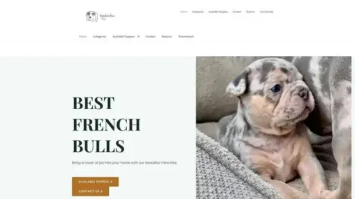 Screenshot of