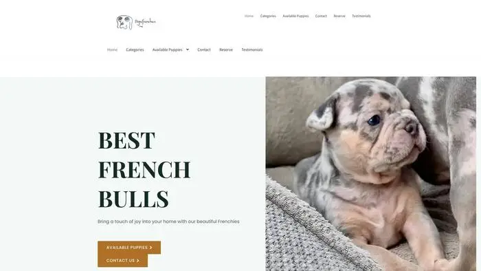 Screenshot of