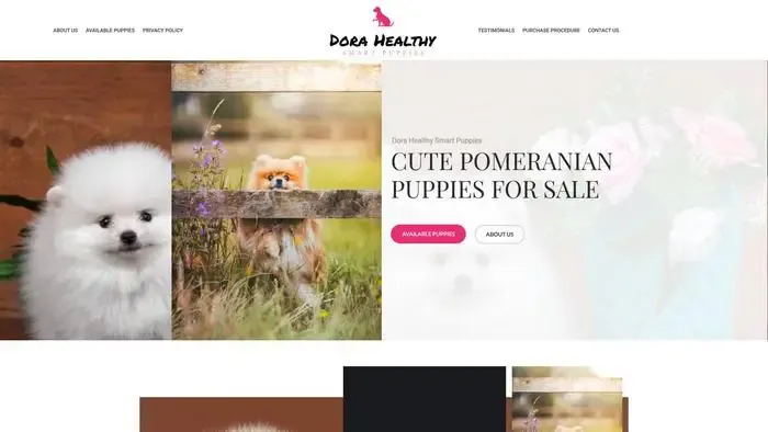 Screenshot of