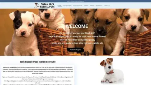 Screenshot of
