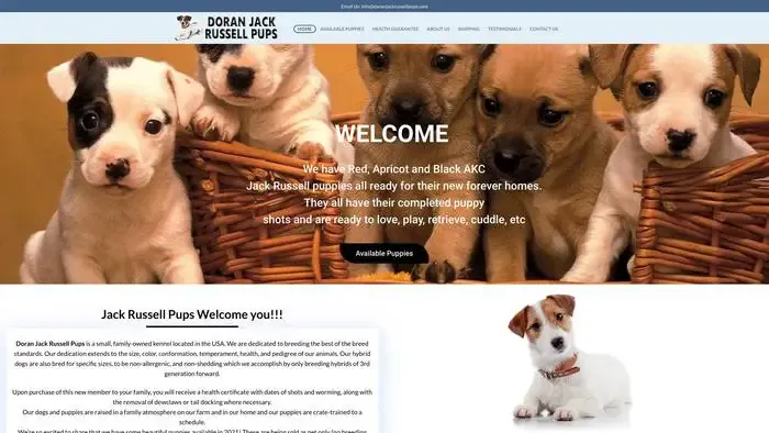 Screenshot of