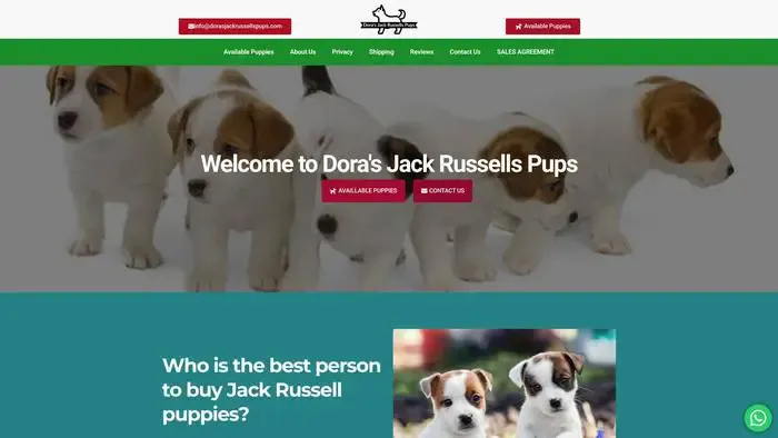 Screenshot of