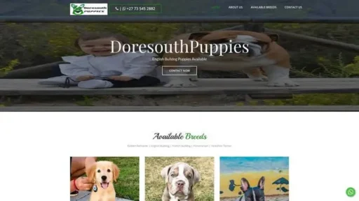 Screenshot of