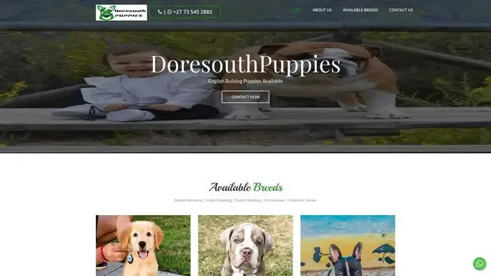 Screenshot of