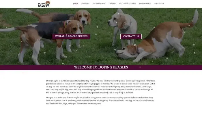 Screenshot of