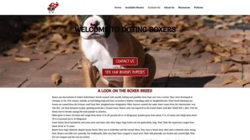 Screenshot of