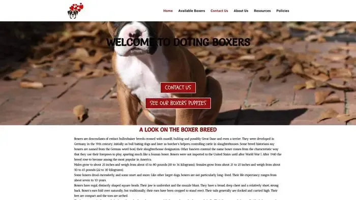 Screenshot of
