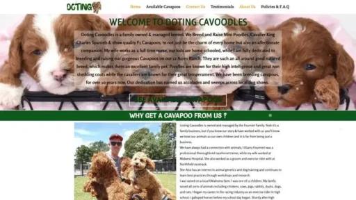 Screenshot of