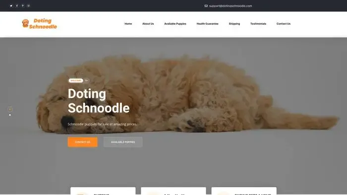Screenshot of