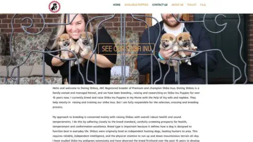 Screenshot of