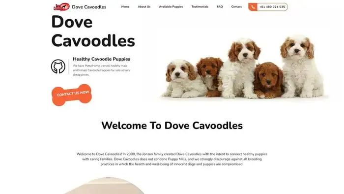 Screenshot of