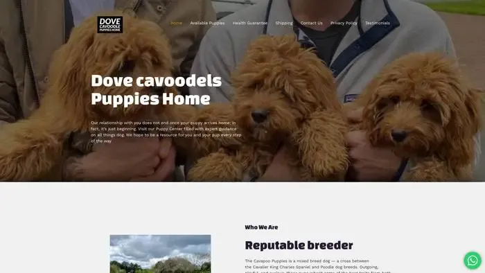 Screenshot of