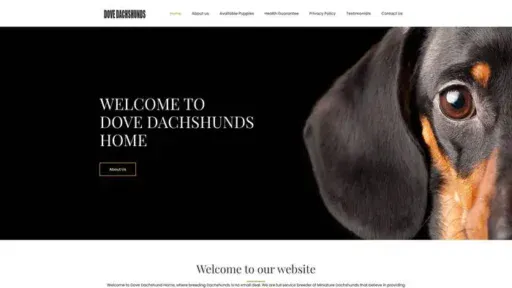 Screenshot of