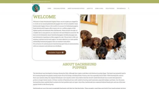 Screenshot of