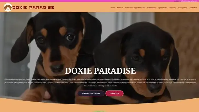 Screenshot of
