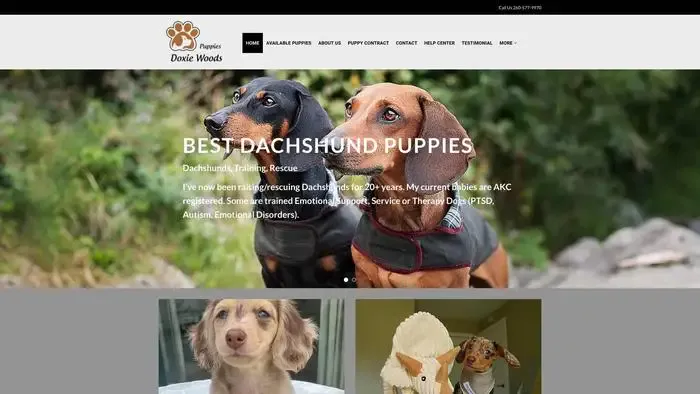 Screenshot of