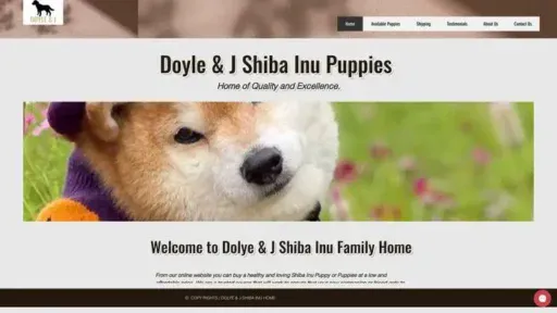 Screenshot of