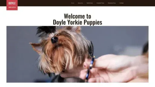Screenshot of