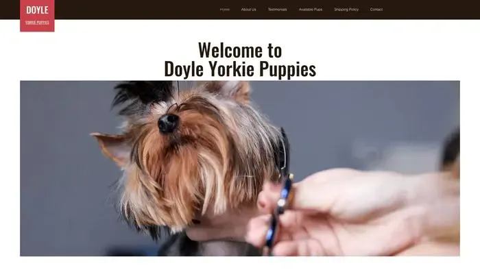 Screenshot of