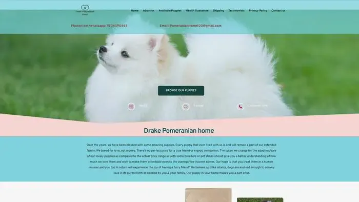 Screenshot of