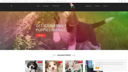 Screenshot of