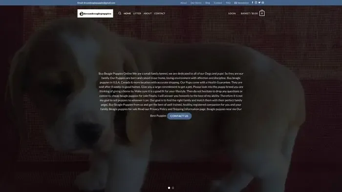 Screenshot of