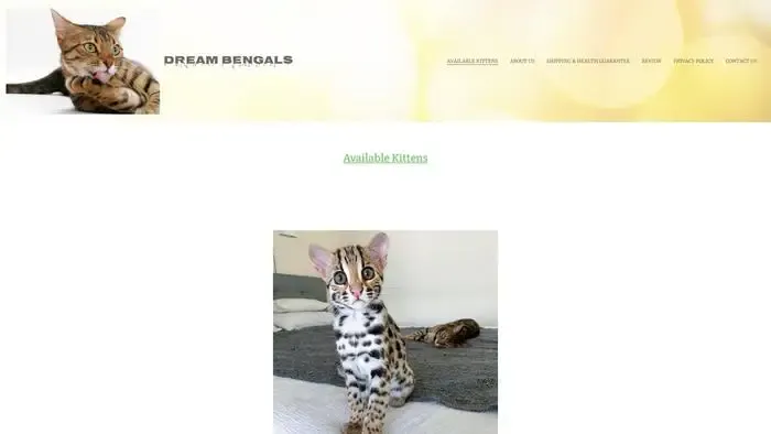 Screenshot of