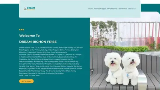 Screenshot of