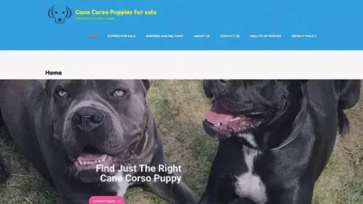Screenshot of