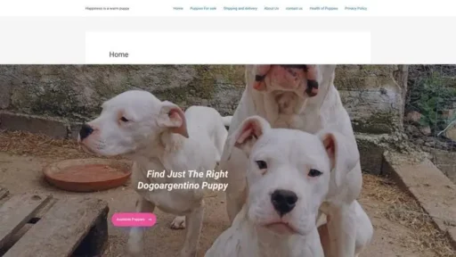 Screenshot of