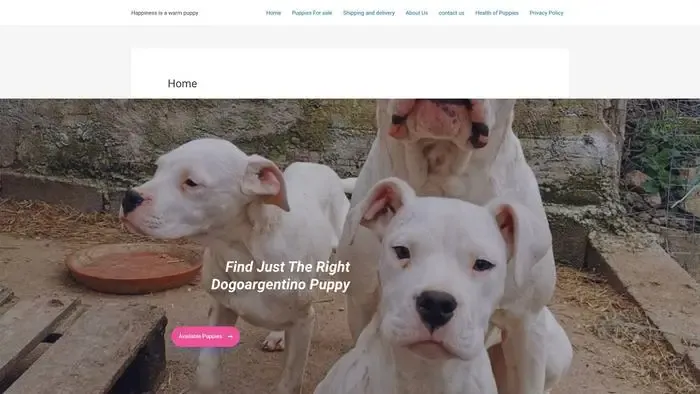 Screenshot of