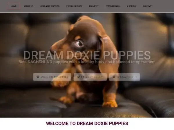 Screenshot of