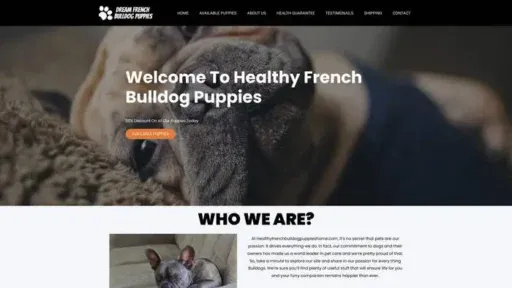 Screenshot of