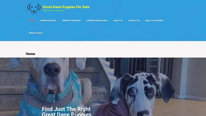 Screenshot of