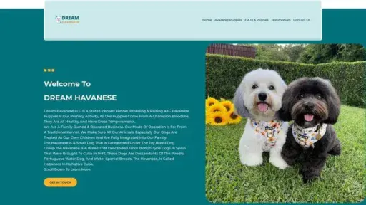 Screenshot of