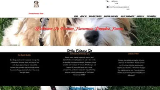 Screenshot of